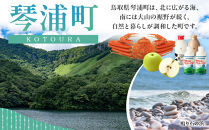 【鳥取特選フロマージュ】厳選素材　濃厚チーズケーキ12cm&nbsp;1台《「食パラダイス鳥取県」優良賞受賞》【チーズケーキ&nbsp;ケーキ&nbsp;フロマージュ&nbsp;受賞&nbsp;クリームチーズ&nbsp;バター&nbsp;クリーミー&nbsp;冷凍&nbsp;お菓子&nbsp;おかし&nbsp;スイーツ&nbsp;デザート&nbsp;12センチ&nbsp;12㎝&nbsp;人気&nbsp;おすすめ&nbsp;鳥取県&nbsp;琴浦町&nbsp;送料無料】