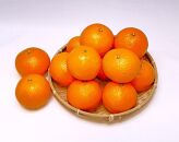 清見オレンジ 3kg（2Lサイズ）