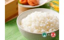 CN6＜米蔵―KOMEGURAー＞《2kg×4銘柄》五ツ星お米マイスター厳選　鳥取県産米4種　食べくらべセット（大山ブランド会）