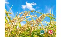 CN6＜米蔵―KOMEGURAー＞《2kg×4銘柄》五ツ星お米マイスター厳選　鳥取県産米4種　食べくらべセット（大山ブランド会）