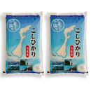 七尾産こしひかり10kg(精米5kg×2袋)　令和6年産
