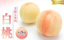 桃 2024年 先行予約 白桃 2kg 6～8玉 もも モモ 岡山 国産 フルーツ 果物 ギフト 桃茂実苑