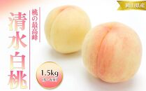 桃 2024年 先行予約 清水 白桃 1.5kg 5～6玉 もも モモ 岡山 国産 フルーツ 果物 ギフト 桃茂実苑