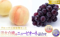 桃 ぶどう 2024年 先行予約 清水 白桃 5玉 約1.5kg 1玉約300g ニュー ピオーネ 1房 550g以上もも 葡萄 詰合せ 岡山 国産 フルーツ 果物 ギフト 桃茂実苑  