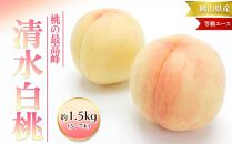 桃 2024年 先行予約 清水 白桃 等級 エース 約1.5kg 5～7玉入りもも モモ 岡山 国産 フルーツ 果物 ギフト 桃茂実苑