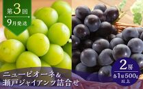 定期 2025年 先行予約 晴れの国 岡山県産 フルーツ定期便 5回コース