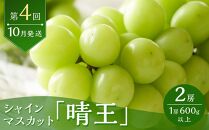 定期 2025年 先行予約 晴れの国 岡山県産 フルーツ定期便 5回コース