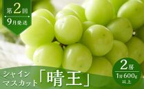 フルーツ 2024年 先行予約 岡山 白桃 6玉 シャイン マスカット 晴王 2房 を2回に分けてお届け！ 定期便 桃 ぶどう 梨 岡山県産 国産 果物 ギフト