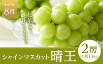 フルーツ 定期便 2024年 先行予約 晴れの国 岡山県産 旬のフルーツ定期便 3回コース 葡萄 ぶどう 岡山県産 国産 セット ギフト 