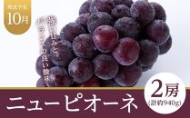 フルーツ 定期便 2024年 先行予約 晴れの国 岡山県産 旬のフルーツ定期便 3回コース 葡萄 ぶどう 岡山県産 国産 セット ギフト 