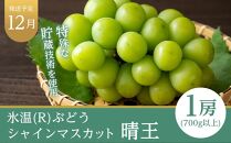 フルーツ 定期便 2024年 先行予約 晴れの国 岡山県産 旬のフルーツ定期便 3回コース 葡萄 ぶどう 岡山県産 国産 セット ギフト [No.5220-1089]