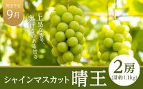 フルーツ 定期便 2024年 先行予約 晴れの国 岡山県産 旬のフルーツ定期便 7回コース 桃 もも 葡萄 ぶどう 梨 なし 苺 いちご 岡山県産 国産 セット ギフト 