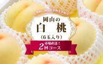 桃&nbsp;定期便&nbsp;2026年&nbsp;岡山&nbsp;の&nbsp;白桃&nbsp;6玉&nbsp;合計1.6kg以上×2回&nbsp;お届け&nbsp;化粧箱入り&nbsp;もも&nbsp;モモ&nbsp;岡山産&nbsp;国産&nbsp;フルーツ&nbsp;果物&nbsp;ギフト