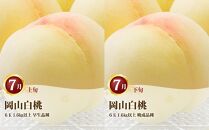 桃&nbsp;定期便&nbsp;2026年&nbsp;岡山&nbsp;の&nbsp;白桃&nbsp;6玉&nbsp;合計1.6kg以上×2回&nbsp;お届け&nbsp;化粧箱入り&nbsp;もも&nbsp;モモ&nbsp;岡山産&nbsp;国産&nbsp;フルーツ&nbsp;果物&nbsp;ギフト