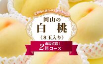 桃 定期便 2025年 先行予約 岡山 の 白桃 8玉 合計1.7kg以上×2回 お届け 化粧箱入り もも モモ 岡山産 国産 フルーツ 果物 ギフト