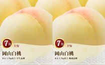 桃 定期便 2025年 先行予約 岡山 の 白桃 8玉 合計1.7kg以上×2回 お届け 化粧箱入り もも モモ 岡山産 国産 フルーツ 果物 ギフト