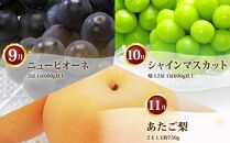 ぶどう 梨 定期便 2026年 フルーツ王国 岡山を堪能 定期便 3回コース 葡萄 ぶどう 梨 なし 岡山県産 国産 果物 セット ギフト