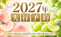 ぶどう&nbsp;梨&nbsp;定期便&nbsp;2027年&nbsp;フルーツ王国&nbsp;岡山を堪能&nbsp;定期便&nbsp;3回コース&nbsp;葡萄&nbsp;ぶどう&nbsp;梨&nbsp;なし&nbsp;岡山県産&nbsp;国産&nbsp;果物&nbsp;セット&nbsp;ギフト