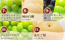 フルーツ 定期便 2026年 フルーツ王国 岡山の果物 5回コース 夏～冬物語 桃 もも 葡萄 ぶどう 梨 なし岡山県産 国産 果物 セット ギフト