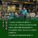 フルーツ 定期便 2024年 先行予約 フルーツ王国 岡山 ベストセレクト 2回コース 桃 もも 葡萄 ぶどう マスカット 岡山県産 国産 果物 セット ギフト [No.5220-1399]