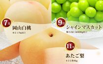 フルーツ 定期便 2026年 フルーツ王国 岡山 ベストセレクト 3回コース 桃 もも 葡萄 ぶどう 梨 なし 岡山県産 国産 果物 セット ギフト