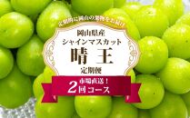 ぶどう&nbsp;定期便&nbsp;2026年&nbsp;シャイン&nbsp;マスカット&nbsp;晴王&nbsp;各月2房（1房600g以上）&nbsp;2回コース&nbsp;マスカット&nbsp;ブドウ&nbsp;葡萄&nbsp;&nbsp;岡山県産&nbsp;国産&nbsp;フルーツ&nbsp;果物&nbsp;ギフト