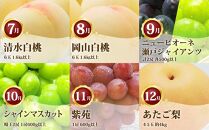 フルーツ 定期便 2026年 フルーツ王国 岡山を堪能 6回コース 夏・秋・冬物語 桃 もも 葡萄 ぶどう 梨 なし岡山県産 国産 果物 セット ギフト