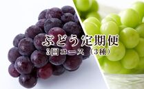 ぶどう 定期便 2025年 先行予約 晴れの国 岡山 の ぶどう定期便 3回コース 葡萄 ブドウ 岡山県産 国産 セット ギフト