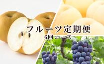 桃 ぶどう 梨 定期便 2025年 先行予約 晴れの国 岡山 の フルーツ 定期便 6回コース もも 葡萄 なし 岡山県産 国産 セット ギフト