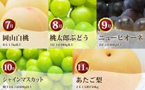 フルーツ 定期便 2026年 フルーツ王国 岡山を堪能 5回コース 桃 もも 葡萄 ぶどう 梨 なし岡山県産 国産 果物 セット ギフト