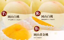 フルーツ&nbsp;定期便&nbsp;2026年&nbsp;岡山&nbsp;の&nbsp;桃&nbsp;食べ比べ&nbsp;定期便&nbsp;3回コース&nbsp;もも&nbsp;モモ&nbsp;岡山県産&nbsp;国産&nbsp;フルーツ&nbsp;果物&nbsp;セット&nbsp;ギフト