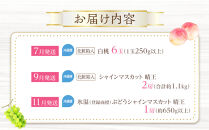 桃&nbsp;ぶどう&nbsp;定期便&nbsp;（隔月）&nbsp;2026年&nbsp;晴れの国&nbsp;岡山の&nbsp;フルーツ&nbsp;定期便&nbsp;3回&nbsp;コース&nbsp;白桃&nbsp;もも&nbsp;葡萄&nbsp;シャイン&nbsp;マスカット&nbsp;葡萄&nbsp;岡山産&nbsp;国産&nbsp;フルーツ&nbsp;果物&nbsp;ギフト