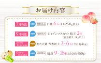 フルーツ&nbsp;定期便&nbsp;2026年&nbsp;晴れの国&nbsp;岡山&nbsp;の&nbsp;フルーツ&nbsp;定期便&nbsp;4回コース&nbsp;桃&nbsp;ぶどう&nbsp;いちご&nbsp;岡山県産&nbsp;国産&nbsp;フルーツ&nbsp;果物&nbsp;ギフト