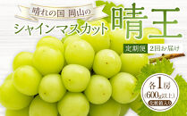 ぶどう&nbsp;2026年&nbsp;晴れの国&nbsp;岡山の&nbsp;シャイン&nbsp;マスカット&nbsp;晴王&nbsp;定期便&nbsp;2回（各1房600g以上）&nbsp;葡萄&nbsp;岡山県産&nbsp;国産&nbsp;フルーツ&nbsp;果物&nbsp;ギフト