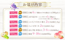 フルーツ&nbsp;定期便&nbsp;2026年&nbsp;晴れの国&nbsp;岡山の&nbsp;フルーツ&nbsp;定期便&nbsp;6回&nbsp;桃&nbsp;ぶどう&nbsp;梨&nbsp;いちご&nbsp;岡山県産&nbsp;国産&nbsp;フルーツ&nbsp;果物&nbsp;ギフト