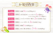 フルーツ&nbsp;2026年&nbsp;晴れの国&nbsp;岡山&nbsp;の&nbsp;フルーツ&nbsp;定期便&nbsp;6回コース&nbsp;桃&nbsp;ぶどう&nbsp;梨&nbsp;岡山県産&nbsp;国産&nbsp;フルーツ&nbsp;果物&nbsp;ギフト