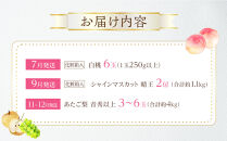 フルーツ&nbsp;2026年&nbsp;晴れの国&nbsp;岡山&nbsp;の&nbsp;フルーツ&nbsp;定期便&nbsp;3回コース&nbsp;桃&nbsp;ぶどう&nbsp;梨&nbsp;岡山県産&nbsp;国産&nbsp;フルーツ&nbsp;果物&nbsp;ギフト
