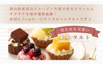 定期便 2ヶ月 フレッシュ タルト 専門店  STYLE 岡山みに たると 詰め合わせ 15個入り ケーキ タルト 詰合せ お菓子 スイーツ