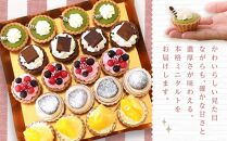 定期便 2ヶ月 フレッシュ タルト 専門店 STYLE 岡山みに たると 厳選 5種 20個入 お菓子 ケーキ タルト スイーツ 合せ