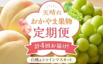 フルーツ 定期便 2025年 先行予約 天晴れ おかやま 果物 定期便 (1)  白桃 1回／ シャイン マスカット 3回 合計4回お届け！ 岡山県産 国産 セット ギフト