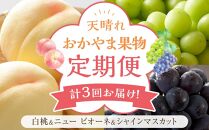 フルーツ 定期便 2025年 先行予約 天晴れ おかやま 果物 定期便 (4)  白桃 1回 ニュー ピオーネ 1回／ シャイン マスカット 1回 合計3回お届け！ 岡山県産 国産 セット ギフト