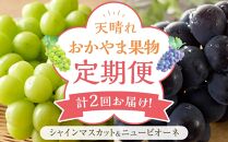 フルーツ 定期便 2025年 先行予約 天晴れ おかやま 果物 定期便 (5)  ニュー ピオーネ 1回／ シャイン マスカット 1回 合計2回お届け！ 岡山県産 国産 セット ギフト