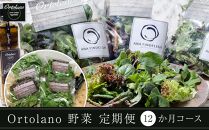 【Ortolano】野菜 定期便（12か月コース）【配達不可：北海道・沖縄・離島】 