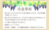 【新鮮・産直】和歌山かつらぎ町産たねなしピオーネ約1.2kg★2025年8月中旬から9月下旬頃順次発送【TM126】