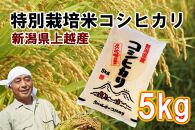 【先行販売】新潟県上越産特別栽培米コシヒカリ5kg【白米】令和6年産