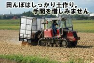 【先行販売】新潟県上越産特別栽培米コシヒカリ5kg【白米】令和6年産