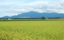 【先行販売】新潟県上越産特別栽培米コシヒカリ5kg【白米】令和6年産