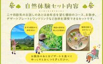 【由布の自然体験セット】野草研究会お散歩コース・カフェチケットセット 1名様分【木草舎ーもくそうやー】