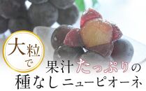 ぶどう 2025年 先行予約 岡山県産 大粒 ニューピオーネ 1房（600g以上）農園直送 朝採れ