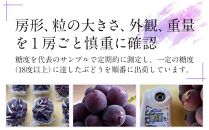 ぶどう 2025年 先行予約 岡山県産 大粒 ニューピオーネ 1房（600g以上）農園直送 朝採れ